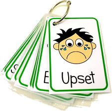 Feelings and Emotions Flash