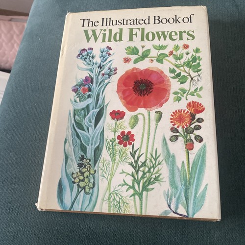 The illustrated book - the, wild
