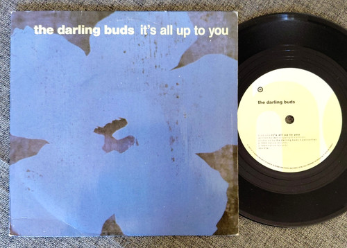 The darling buds s all - buds,