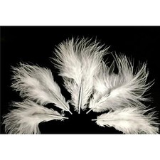 Small Marabou Feathers 50 Per Pack - 3 - 8 cm - Mini Fluffy & Soft -  7 Colours