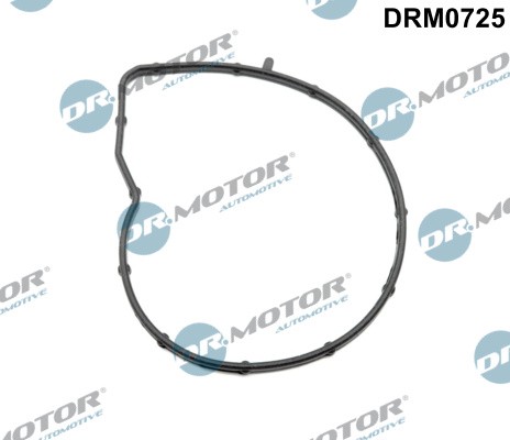 Gasket water pump motor - gasket,,