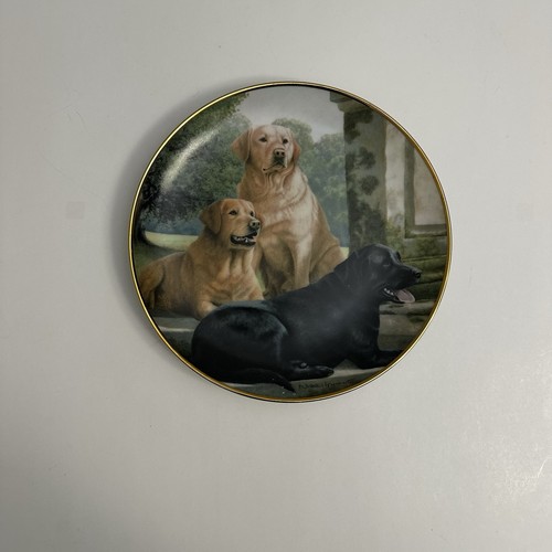 Canine companions plate nigel - canine,