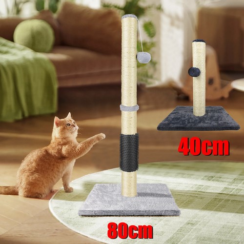Cat scratching post - cat,