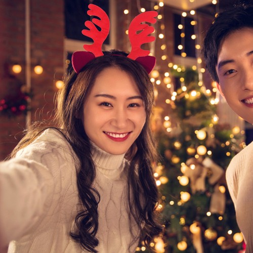Pcs reindeer antlers - ,