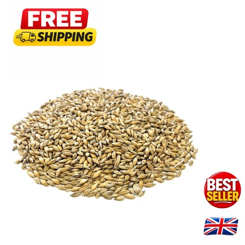 1kg natural canary - 1kg, food