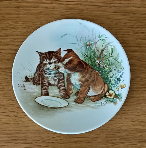 Puppy kitten plate from - plate,