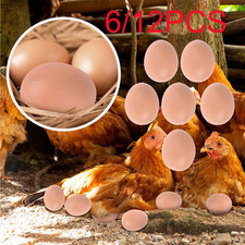 6 Plastic Fake Chicken Eggs