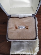 The LEO Princess Cut Past