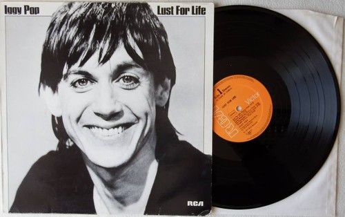 Iggy pop lust for - for, life