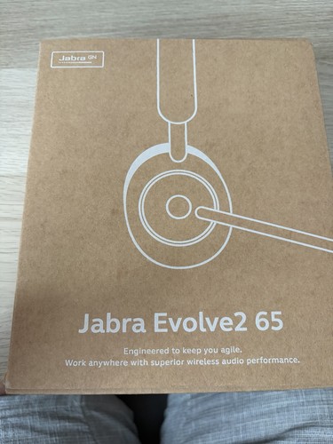 Jabra evolve2 wireless - 65,