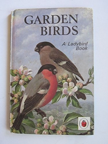 Garden birds ladybird - (ladybird, natural