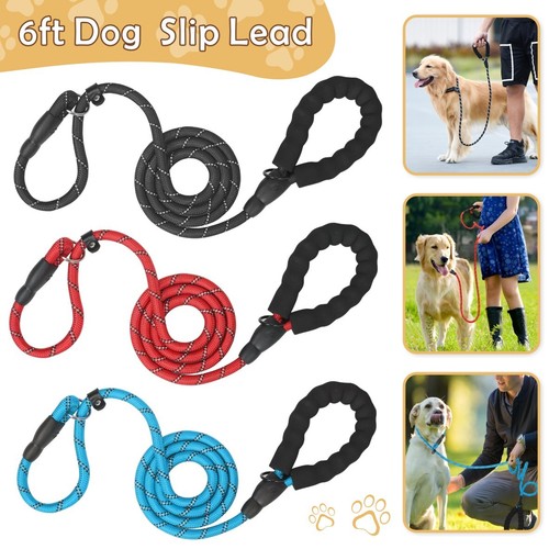 Puppy dog training slip rope - dog,