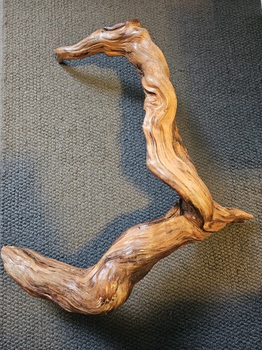 Terrarium curved branches - terrarium,