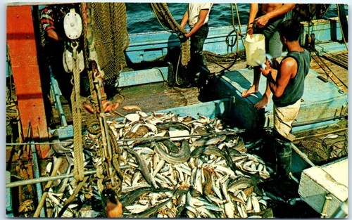 Bringing the catch a - in, on