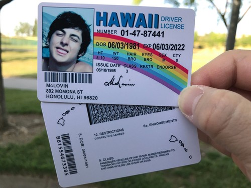 Mclovin card movie - mclovin, id
