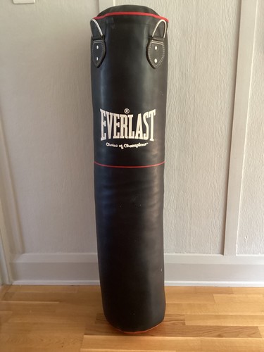 Everlast hanging heavy punch