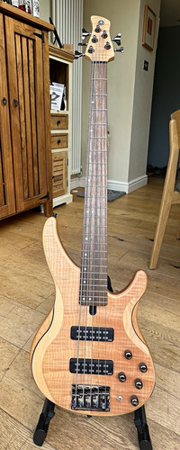 Yamaha trbx605fm string - yamaha,