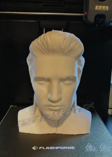 Elvis presley bust 3d - presley, bust,