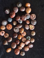 Reclaimed, recycled vintage