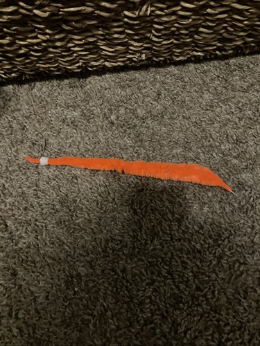 Orange worm string toy - orange,