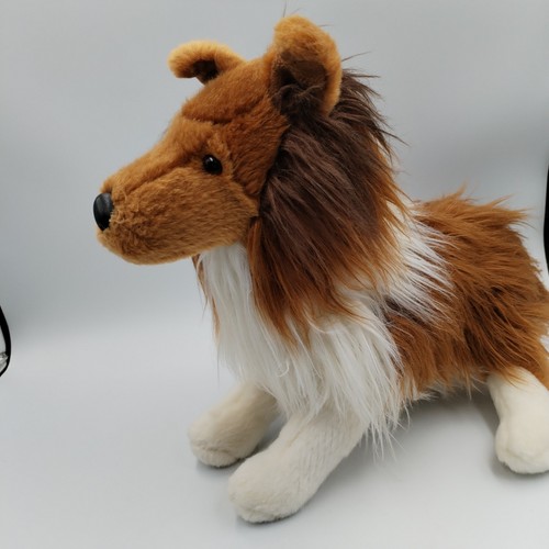 Chelsea teddy bear collie - chelsea, co
