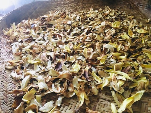 Sun dried organic jack fruit - dried,