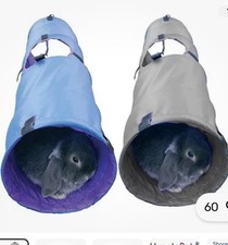 Rosewood rabbit activity - rabbit,