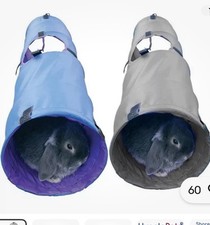 Rosewood Rabbit Activity