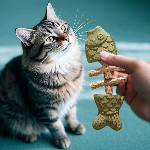 Pack natural catnip - 3,