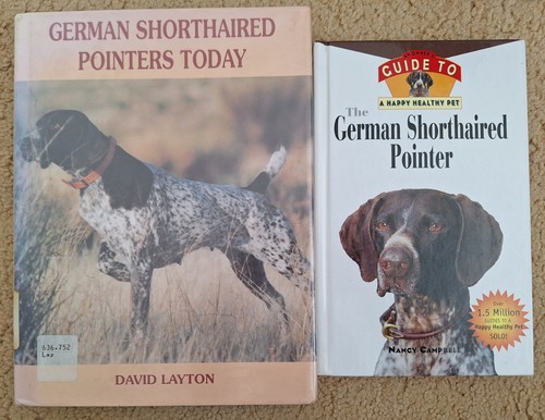 German shorthaired pointer - 2, x