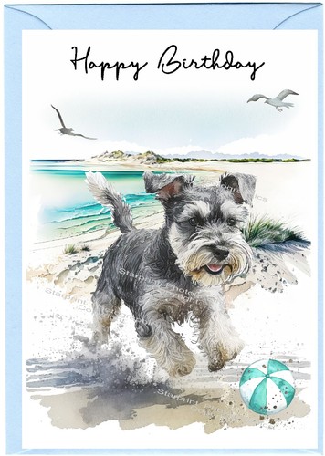 Miniature schnauzer dog - schnauzer,