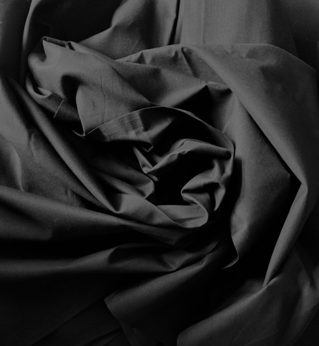 100 cotton plain black - cotton,