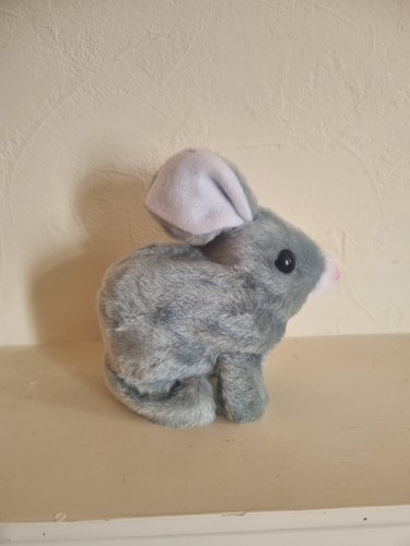 Bunny rabbit cuddly - bunny,