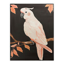 Pink Cockatoo Parrot Bird