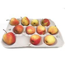 Nutley's Fibre Biodegradable Apple Tray 12-hole Compostable Fruit Storage Harves