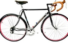 Curley HETCHINS MEGNUM BONUM