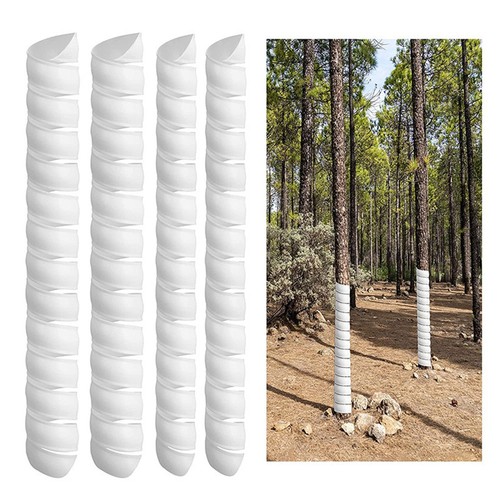 Inch tree trunk - 7,
