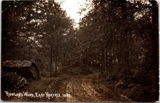 EAST HOATHLY ROWLAND WOOD