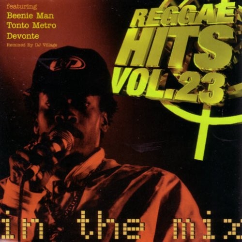 Reggae hits the mix - the, vol.