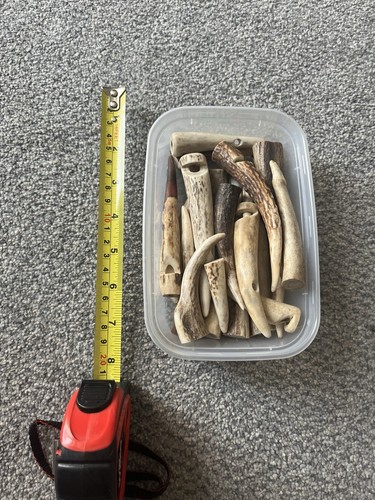 Deer antler horn mixed cut - antler/horn,