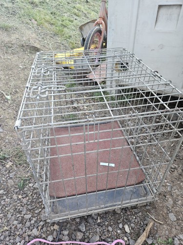 Metal dog cage savic - dog,