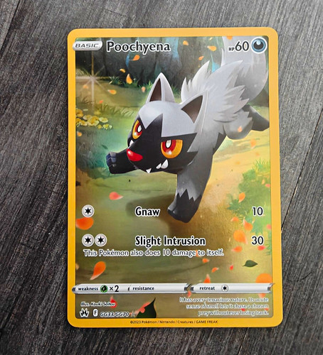 The pokémon company poochyena - the,