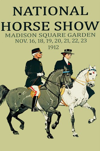 366639 horse show dressage - 366639,