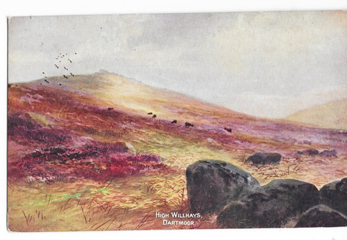 Postcard dartmoor view - dartmoor,