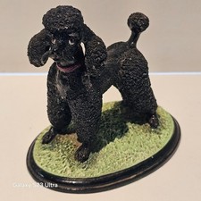 BASIL MATTHEWS Black French