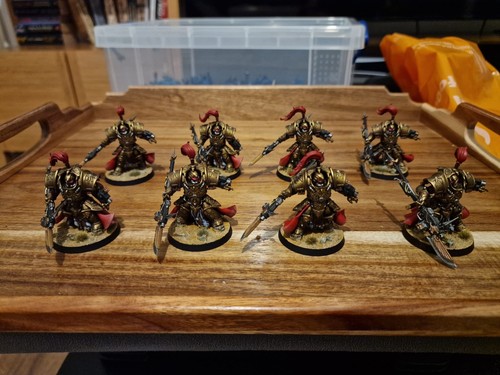 40k adeptus custodes allarus - 40k,