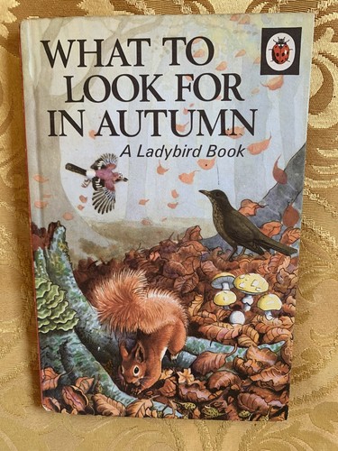 Vintage ladybird what look - vintage, to