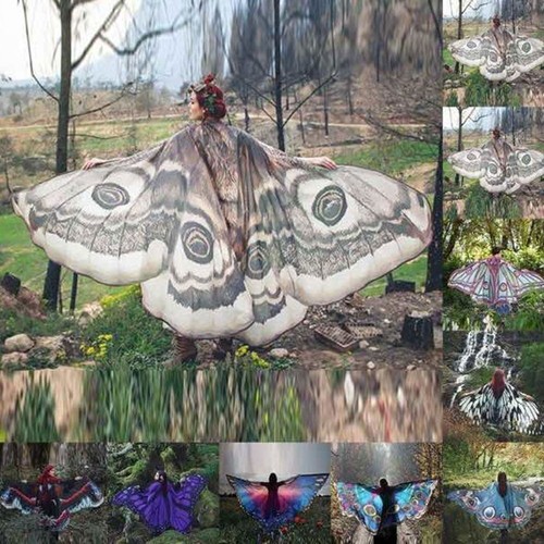 Cosplay butterfly wings - butterfly,