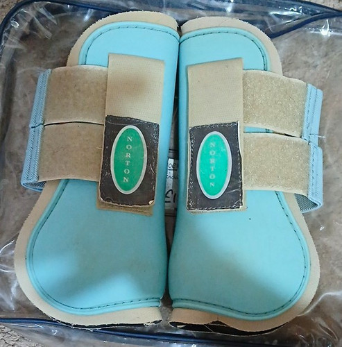 Norton tendon boots - tendon,