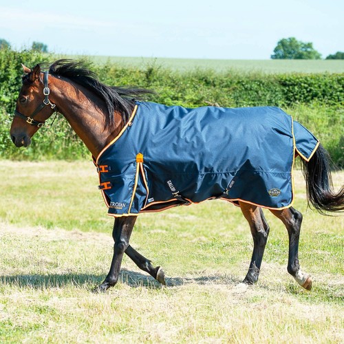 Gallop trojan ponie - trojan, /